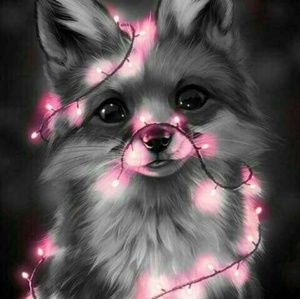 Meet your Posher, Penny